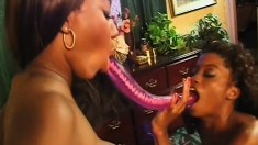 A sex toy is long enough to satisfy two ebony cunts at the same time